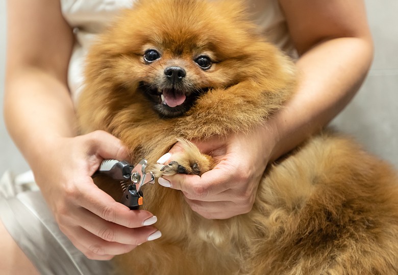 Nail Trims